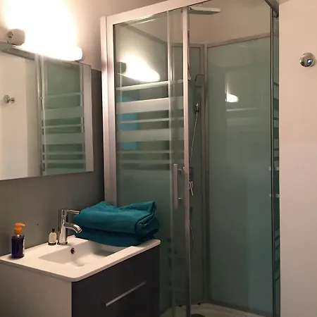 Ancely Studio Aseptise Apartment Toulouse