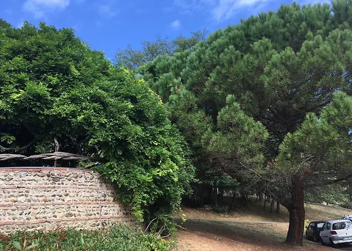 Ancely Studio Aséptisé